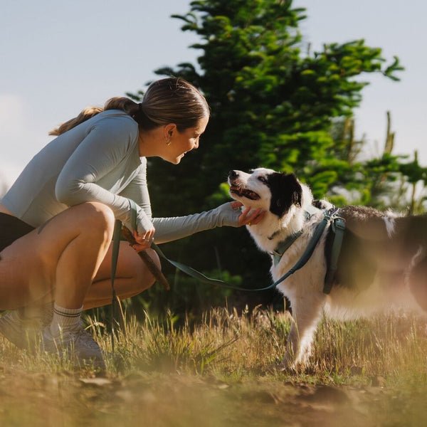 A human rubs a black and white dog's chin while on a run.