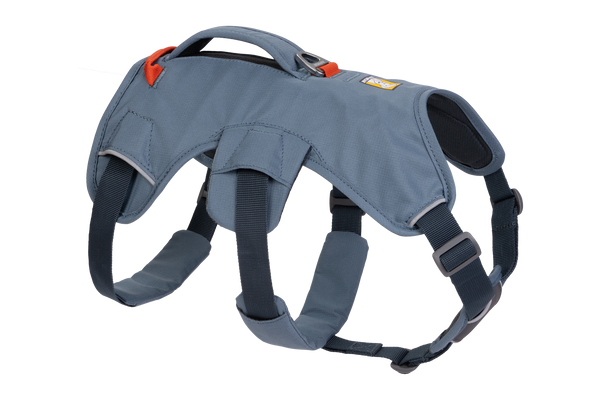 WebMaster Slate Blue (413)