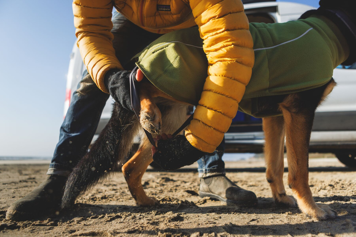 Man putting the Climate Changer™ Fleece Vest on his dog.