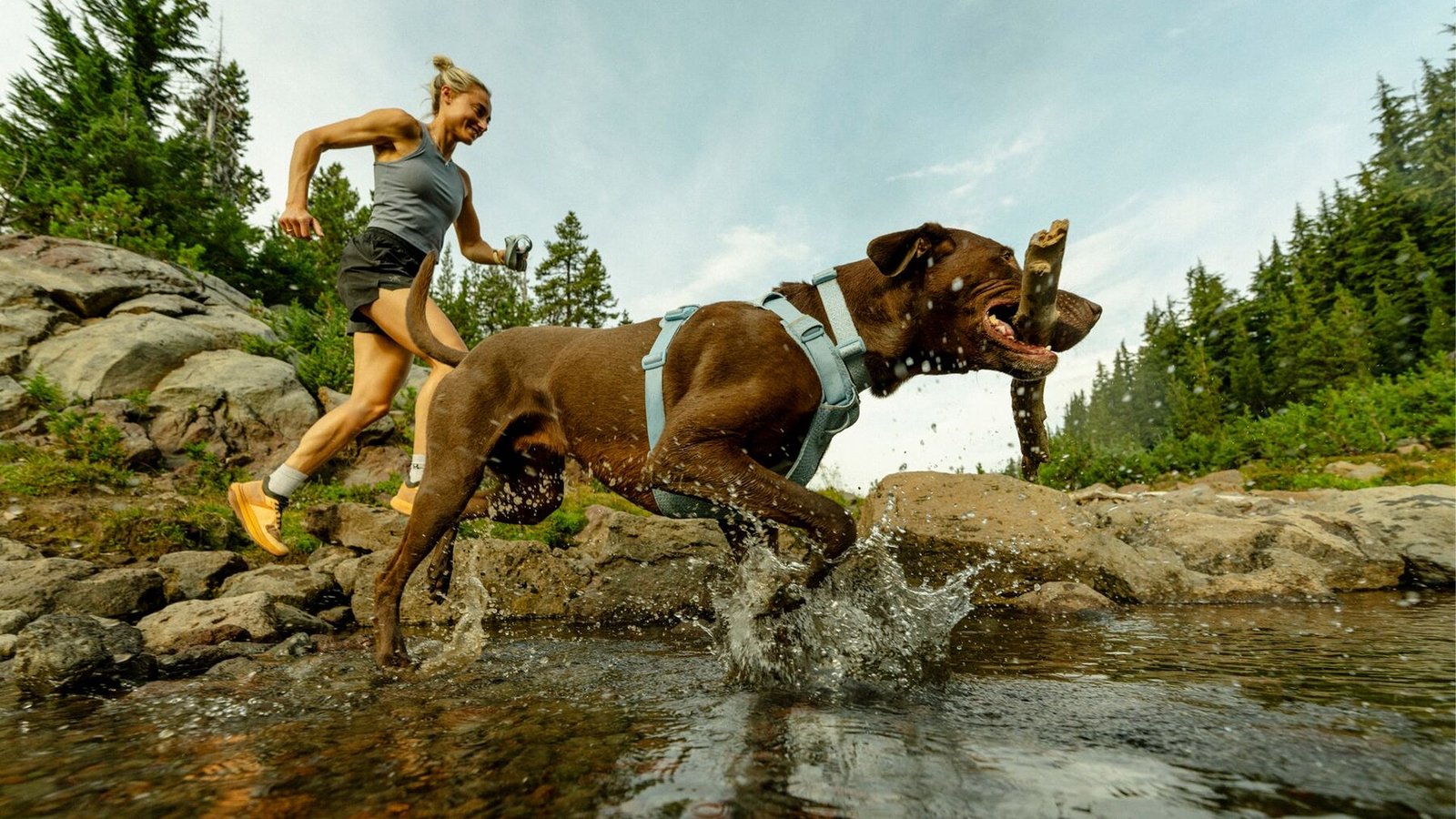 A dog runs with their human over a creek